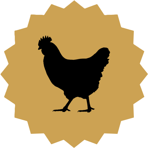Bird Image