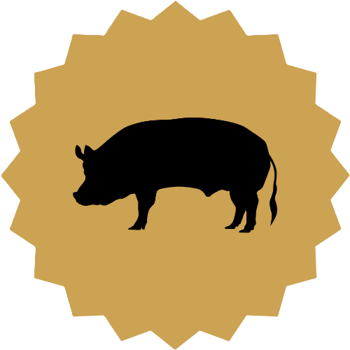 Pig Image