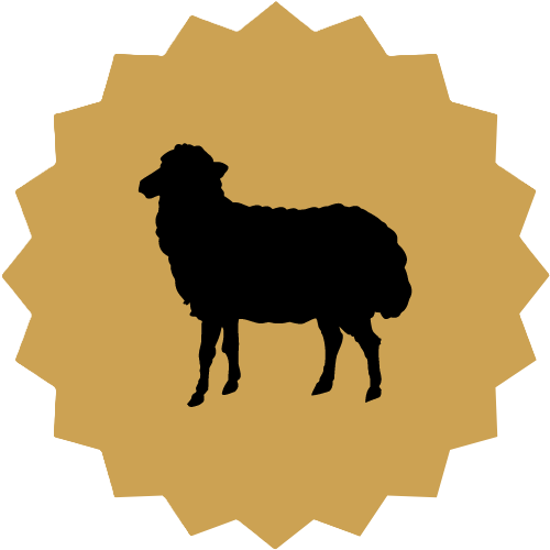 Lamb Image