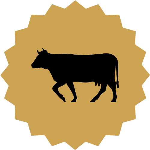 Beef Image